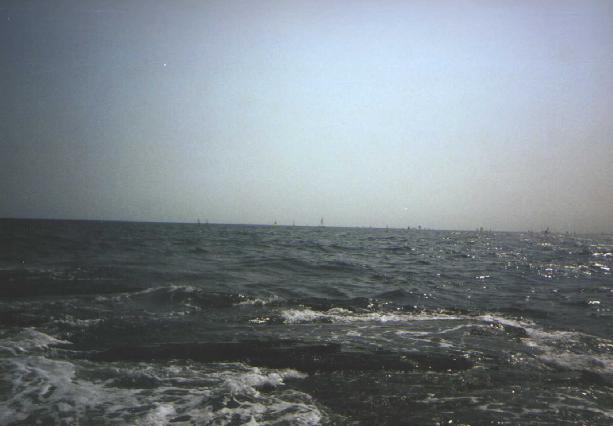 ri-1.jpg (27878 bytes)