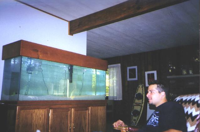 fishtank1.jpg (32243 bytes)