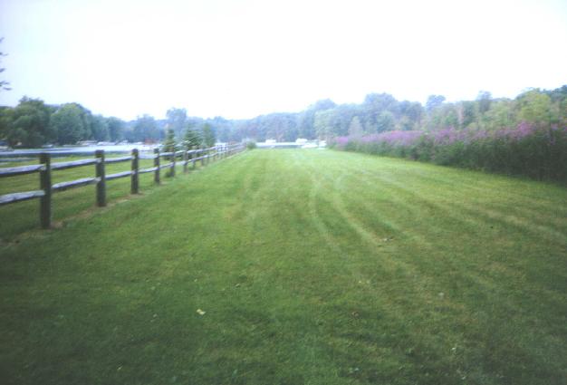 westportback2.jpg (28593 bytes)