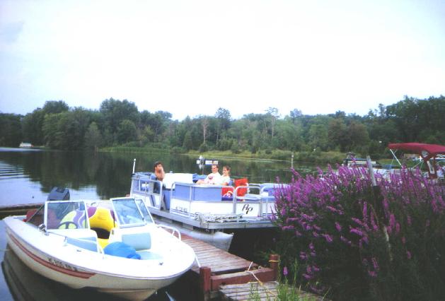 westportboats.jpg (35386 bytes)